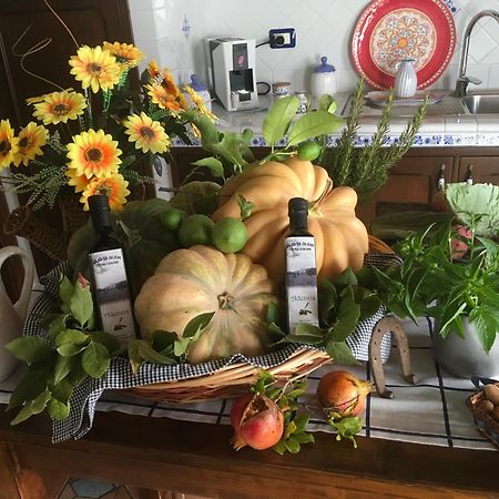 Agriturismo Adenzia Πόρτο Εμπέντοκλε Εξωτερικό φωτογραφία