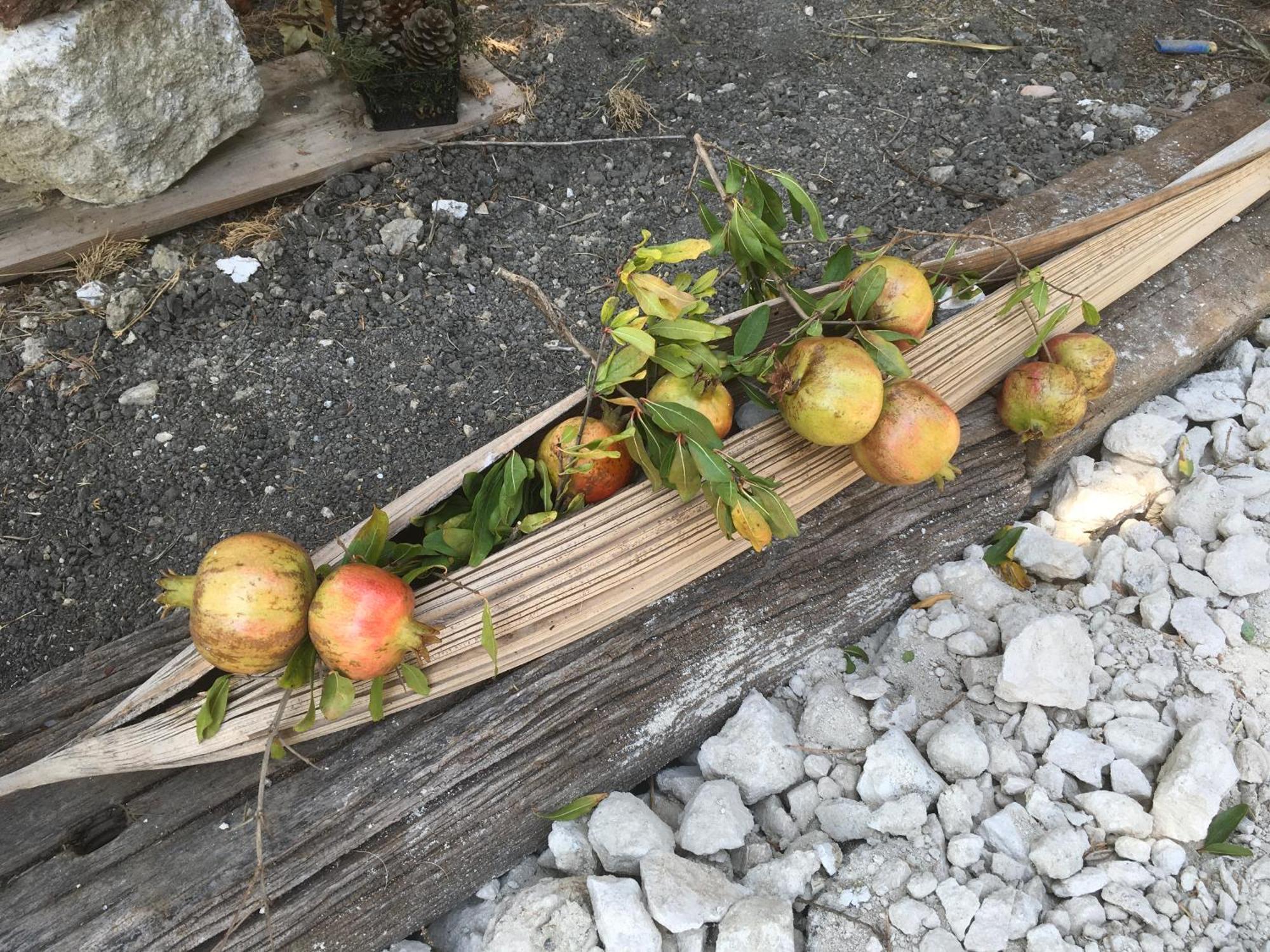 Agriturismo Adenzia Πόρτο Εμπέντοκλε Εξωτερικό φωτογραφία