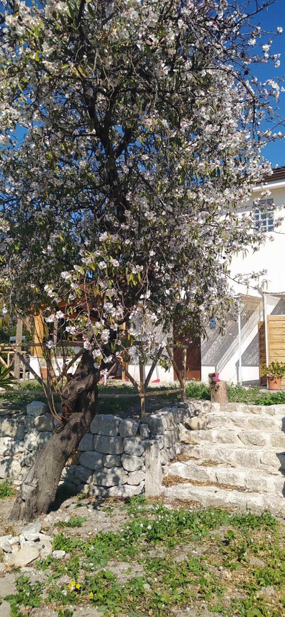 Agriturismo Adenzia Πόρτο Εμπέντοκλε Εξωτερικό φωτογραφία
